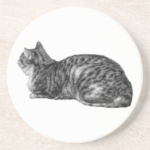 Liten paus, Tabby Poise Underlägg