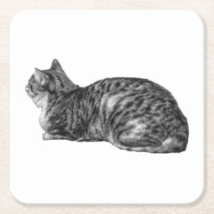 Liten paus, Tabby Poise Underlägg Papper Kvadrat