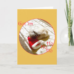 Liten Pekingese Griper Santa Helgkort