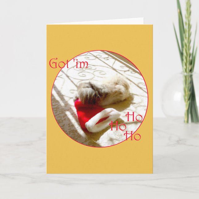 Liten Pekingese Griper Santa Helgkort (Framsida)
