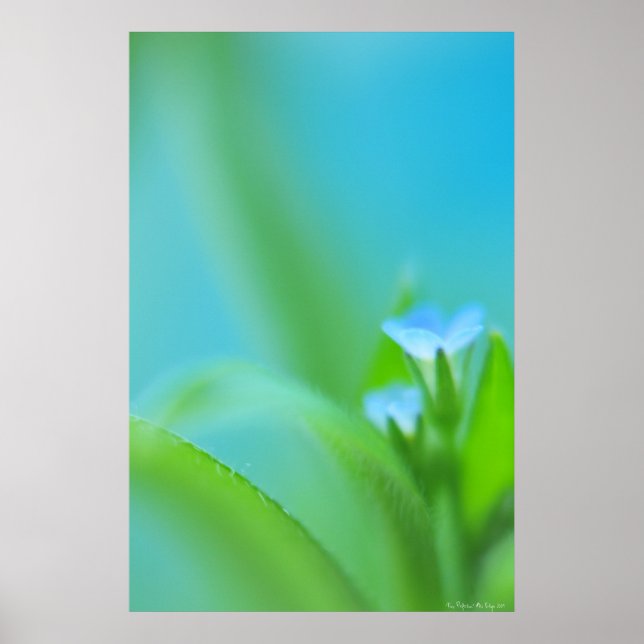 Liten Perftion Poster (Framsidan)