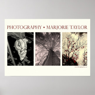 Liten Poster (22,5 x 15 tum)