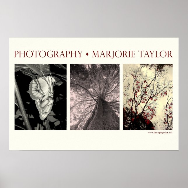 Liten Poster (22,5 x 15 tum) (Framsidan)