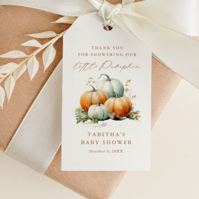 Liten pumpa höst baby shower tack favor presentetikett (An elegant fall little pumpkin neutral baby shower thank you favor tag in orange and green.)