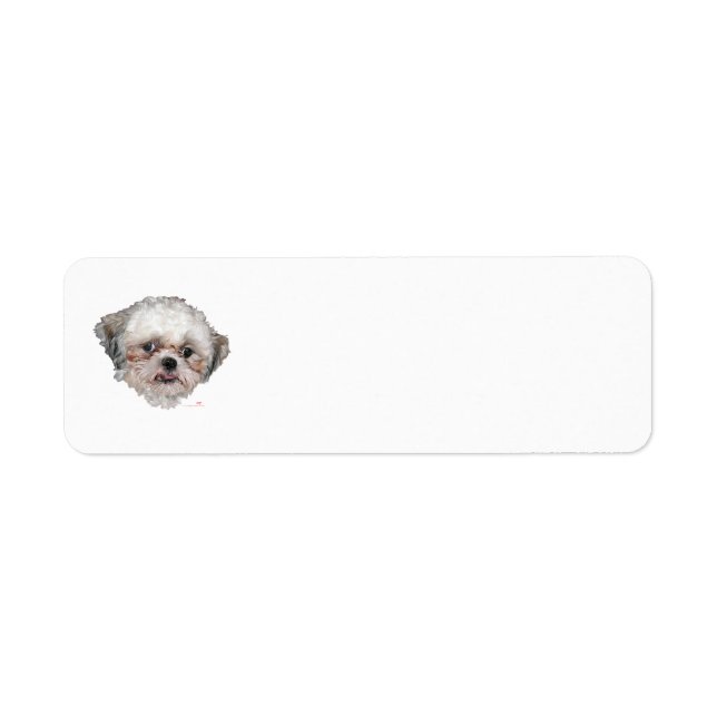 Liten Räddad Shih Tzu Huvudstudie Returadress Etikett (Framsidan)