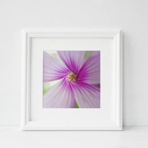 Liten rosa blomma fototryck