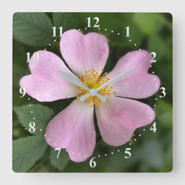 liten rosa blomma fyrkantig klocka (Framsida)