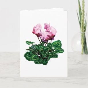Liten rosa Cyclamen Helgkort