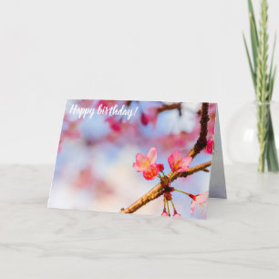Liten Rosa Sakura Beauauties i Springtime Kort