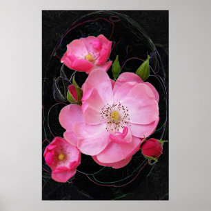 liten rosenknopp öppnas poster