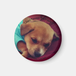 Liten, rund Leeloo Puppy-julgranen Magnet