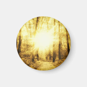 LITEN RUNDAMAGNET FÖR GULD- SOL MAGNET
