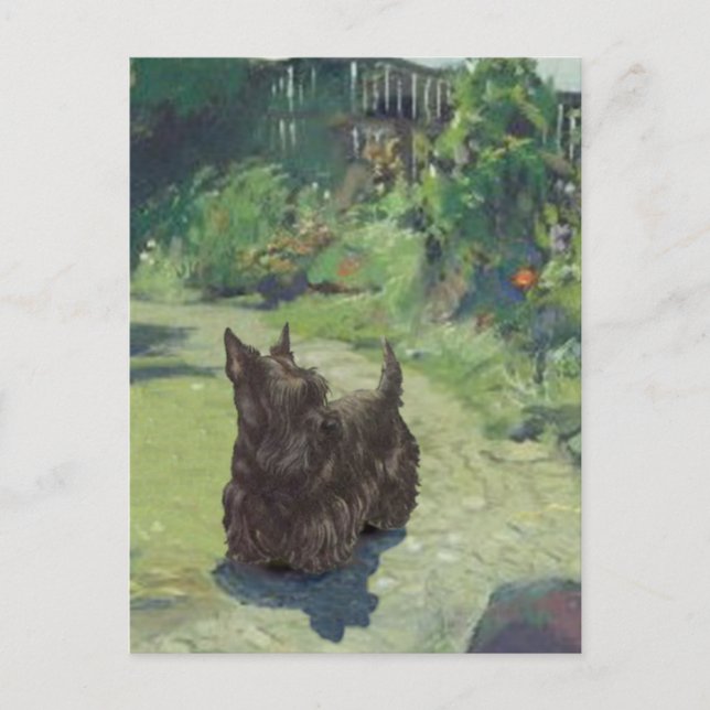 Liten Scottie i trädgården Vykort (Framsida)
