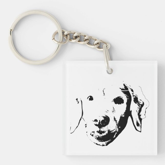 Liten seriehund (Framsidan)