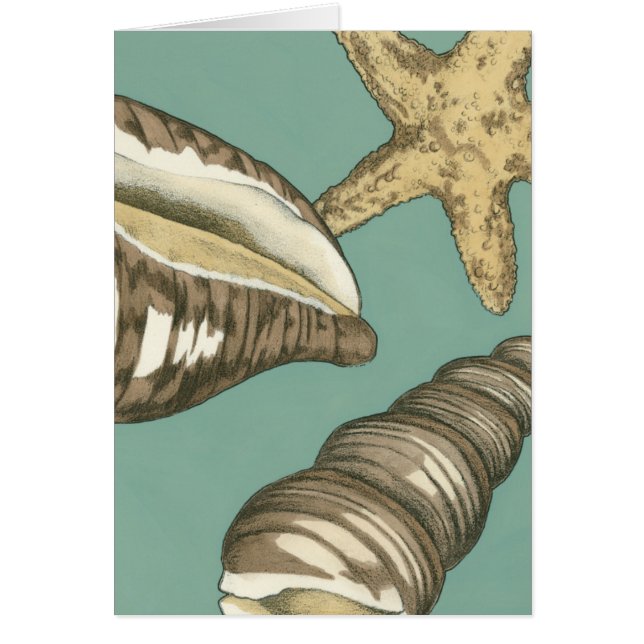 Liten Snäcka trio på Teal Hälsningskort (Framsidan)