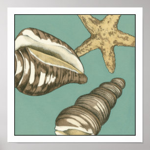 Liten Snäcka trio på Teal Poster