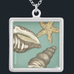 Liten Snäcka trio på Teal Silverpläterat Halsband<br><div class="desc">Megan Meagher är känd för sin enkla konst biet. Den här bilden fångar enkelheten i kustbordets skatter,  i en snäckor och en stjärna. Meagher innehåller en teal bakgrund i hennes bild för att kontrastera dessa skatter. Få den här bran i dag på din Zazzle-produkt idag.</div>