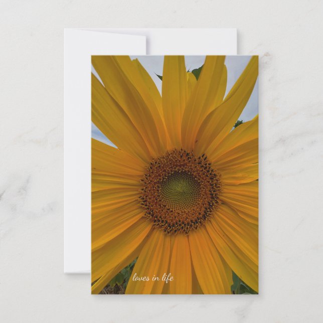 Liten solros anteckningskort (Framsida)