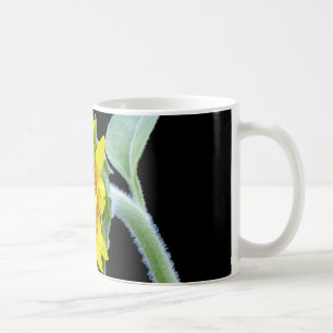 Liten solros kaffemugg