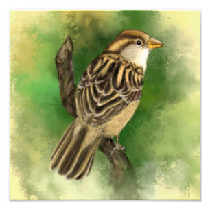 Liten sparrow-fotoutskrift fototryck