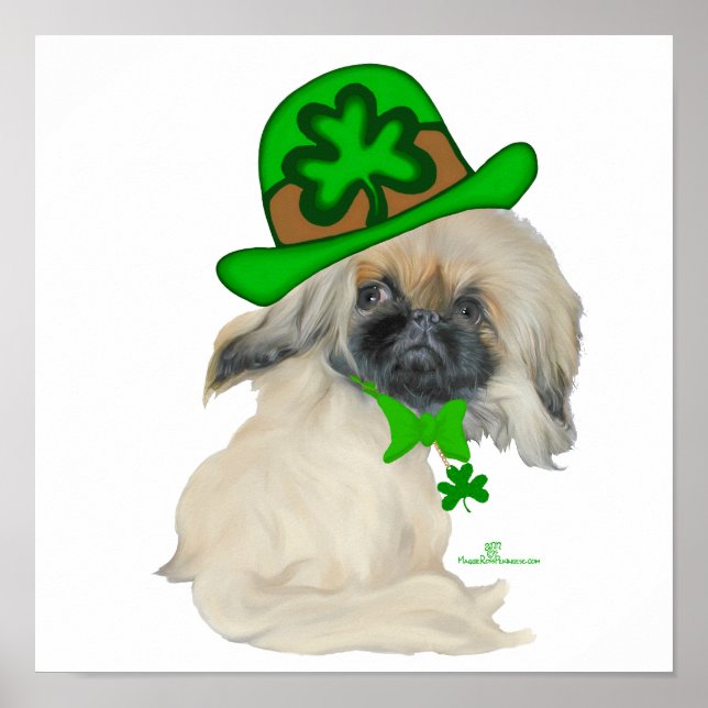 Liten St Patrick Peke Poster (Framsidan)
