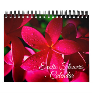 Liten storlek Exotiska blommor kalender