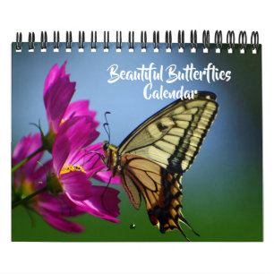 Liten storlek Vackra Fjärilar Kalender