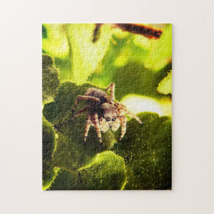 Liten stötspider pussel