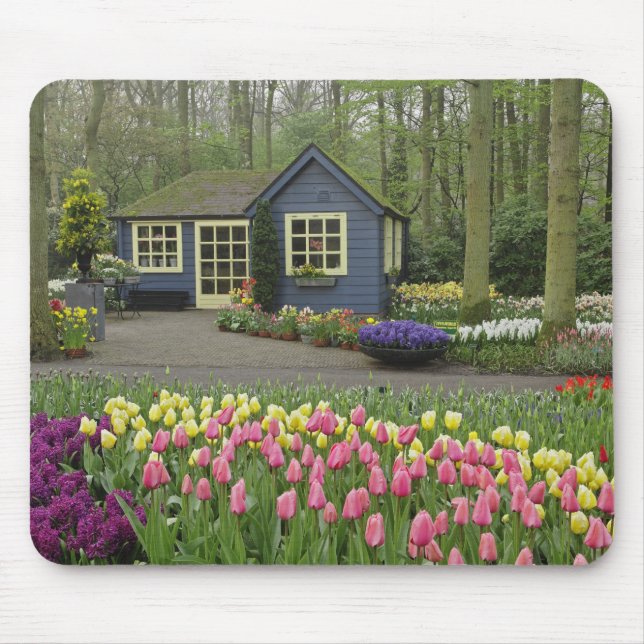 Liten stug blomsterbutik, Keukenhof Gardens, Musmatta (Framsidan)