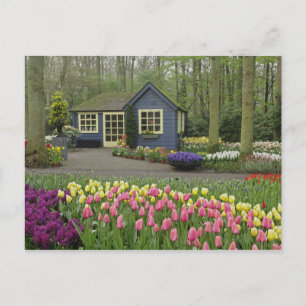 Liten stuga blommor butik, Keukenhof Gardens, Vykort