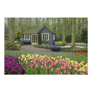Liten stugblomsterbutik, Keukenhof Gardens, Fototryck