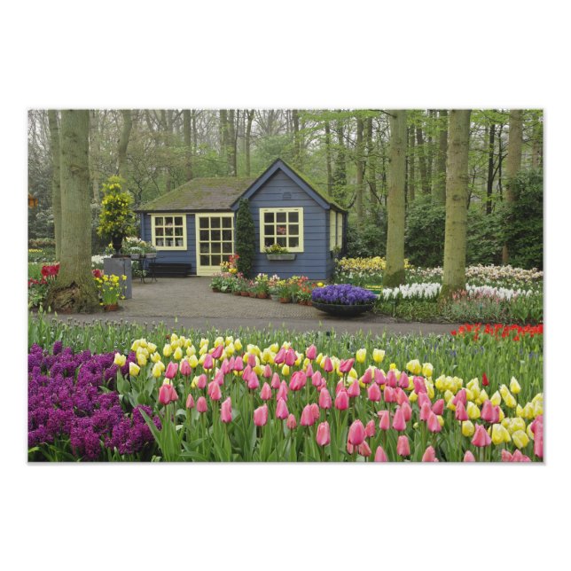 Liten stugblomsterbutik, Keukenhof Gardens, Fototryck (Framsidan)