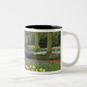 Liten stugblomsterbutik, Keukenhof Gardens, Två-Tonad Mugg