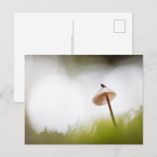 Liten svamp naturfoto vykort