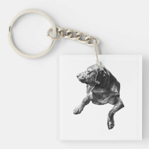 Liten sväng: Labrador Charm