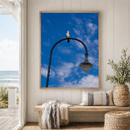 Liten svartvit skarv sittande på gatlykta poster