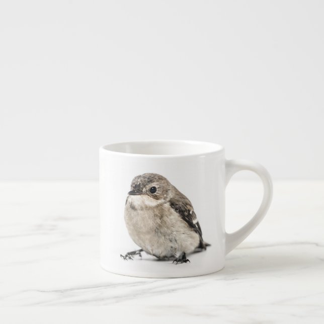 Liten Trädgårdsfågel Foto Espressomugg (Höger)