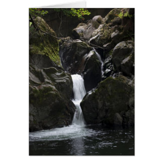 Liten vattenfall hälsningskort