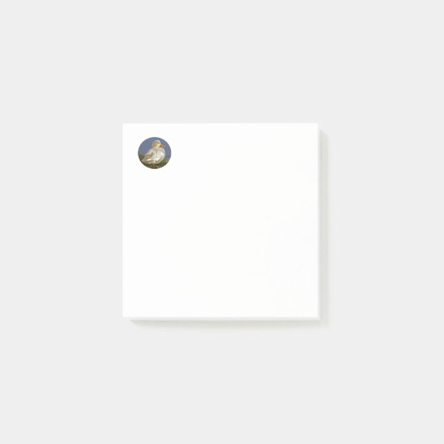 Liten vit anka post-it block (Framsida)