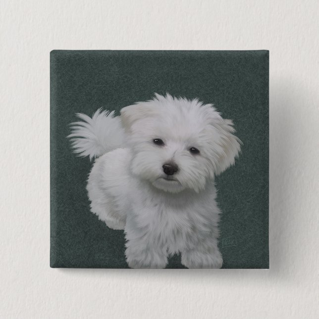   Liten vit hund porträtt  Knapp (Framsida)