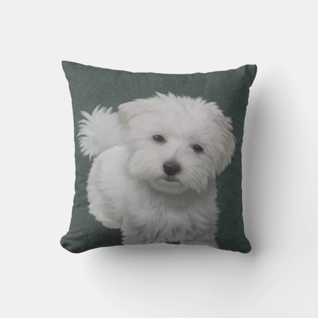   Liten vit hund porträtt  Kudde (Framsida)