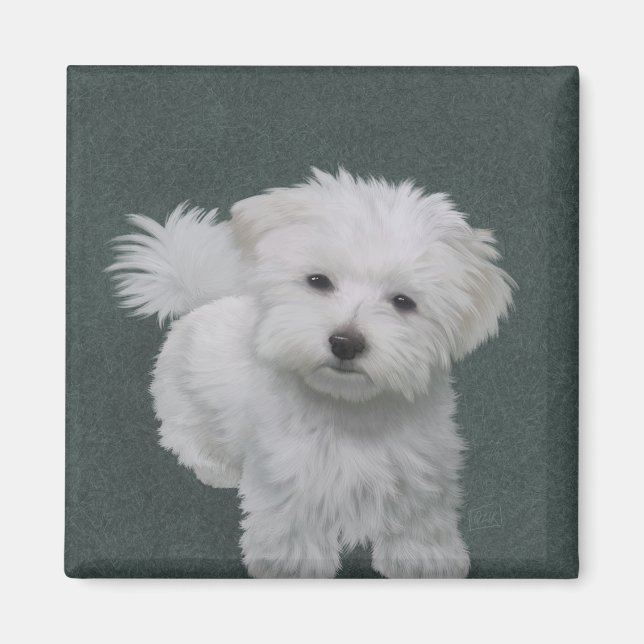   Liten vit hund porträtt  Magnet (Framsidan)