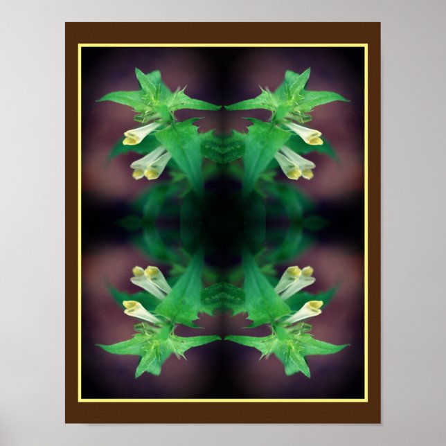 Liten vit vildblomma spegel blomsterkonst poster (Framsidan)