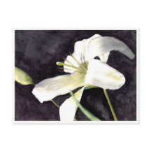 Liten vykort på 4,25 tum x 5,6 tum