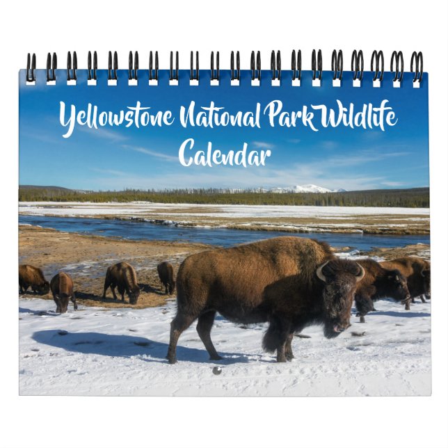 Liten Yellowstone-kalender med vilda djur Kalender (Omslag)
