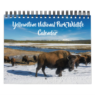 Liten Yellowstone-kalender med vilda djur Kalender