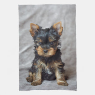 Liten yorkie kökshandduk