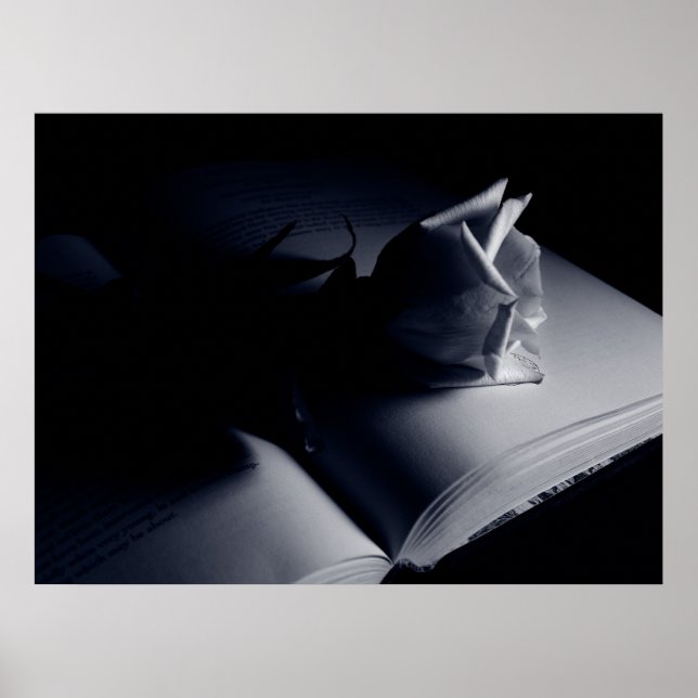 Literary Ro Poster (Framsidan)