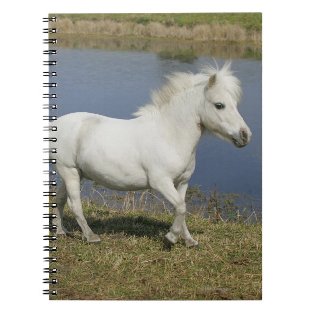 Litet häst lopp nära vatten anteckningsbok med spiral (Framsidan)