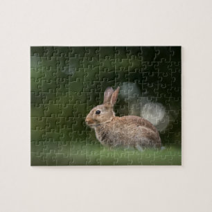 Litet kanin naturfoto pussel